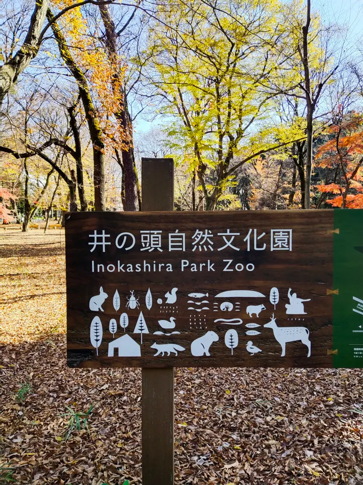 前往吉卜力美術館路途中⋯⋯