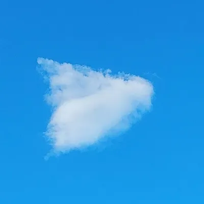 字遊舒寫的沙龍