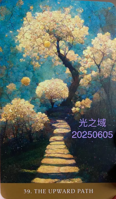 光之域(補)-走入精靈幻境