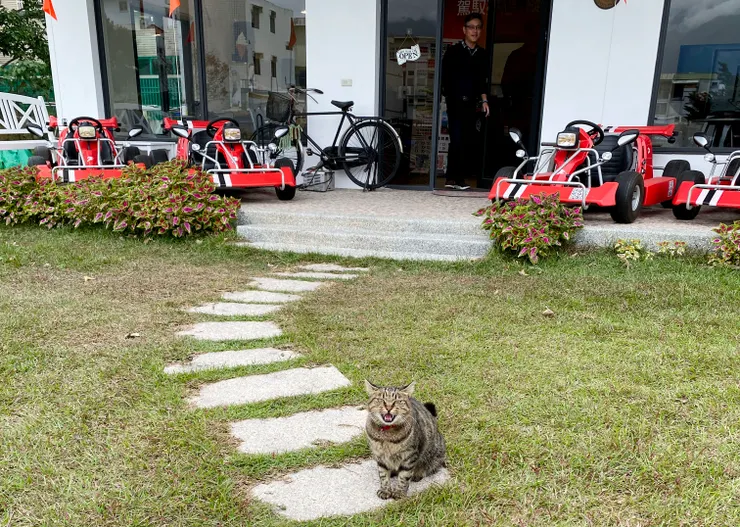 電動卡丁車 店貓，喵嗚～