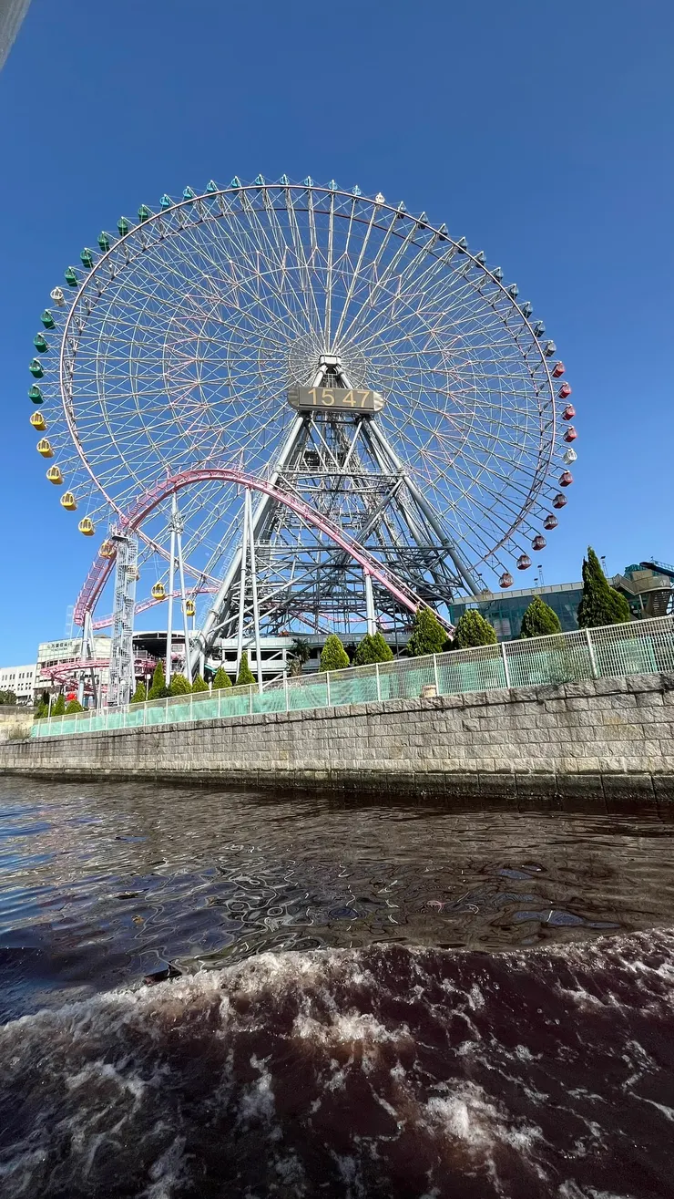 從下面看真的滿壯觀。