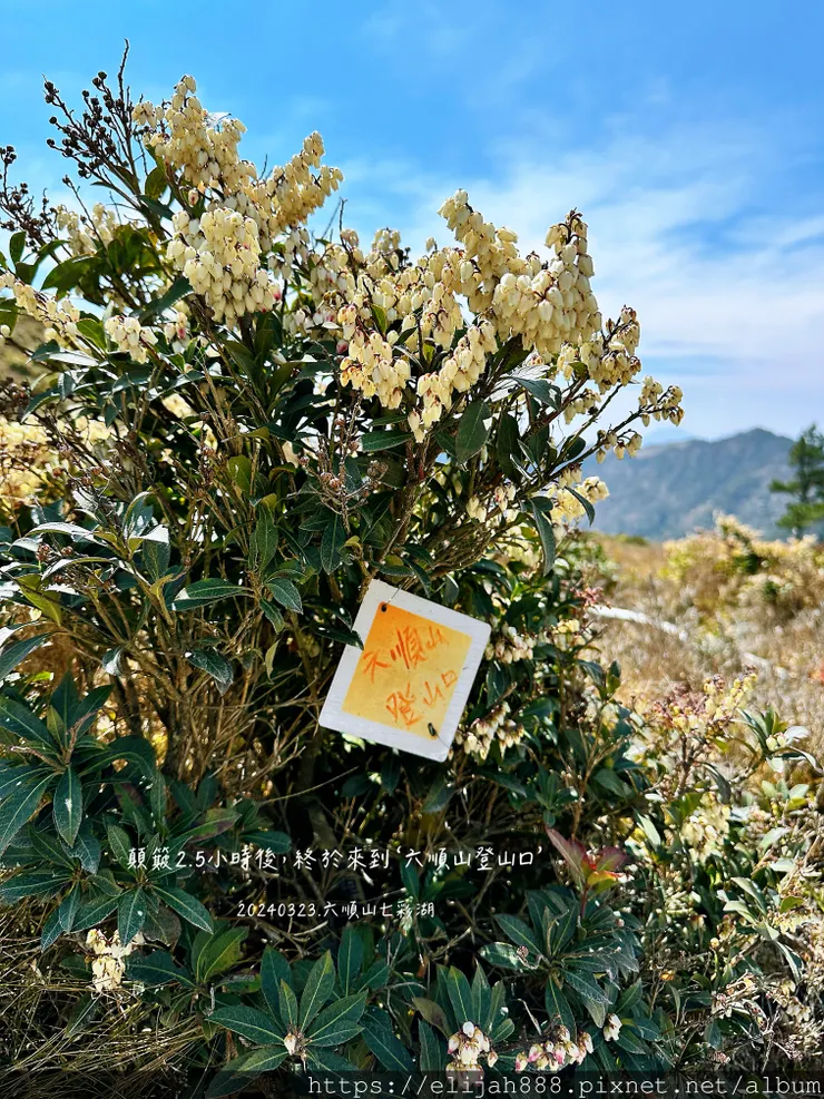 【丹大林道.六順山.七彩湖】南投縣地利村哈木山民宿/丹大林道