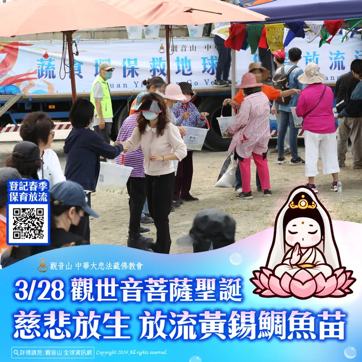 3月28日 觀世音菩薩聖誕慈悲放生 觀音山放流黃錫鯛魚苗