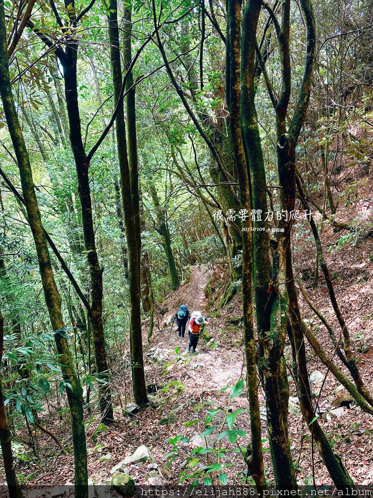 【大霸群峰4百岳。兩天一夜】觀霧大鹿林道東線騎越野單車/馬達