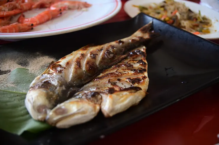 Nikon Z6 35mm 微距模式 ISO 560 1/60s F應該再小一點,讓景深涵蓋整條魚…