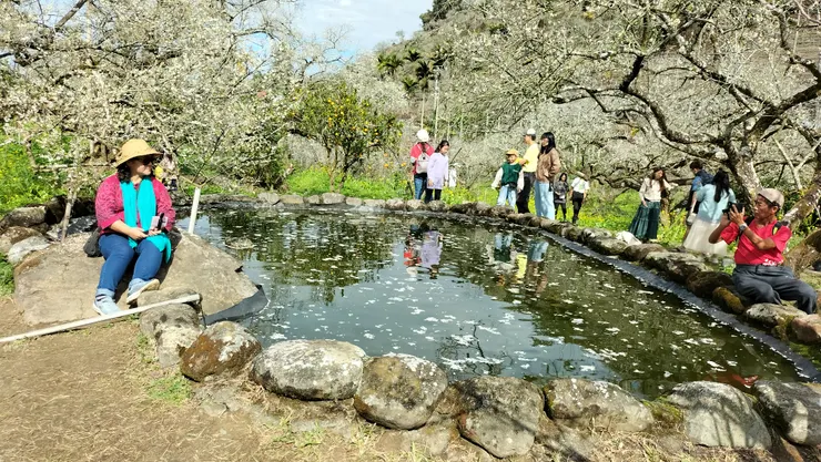 今年池邊人擁蔟/Mingling攝