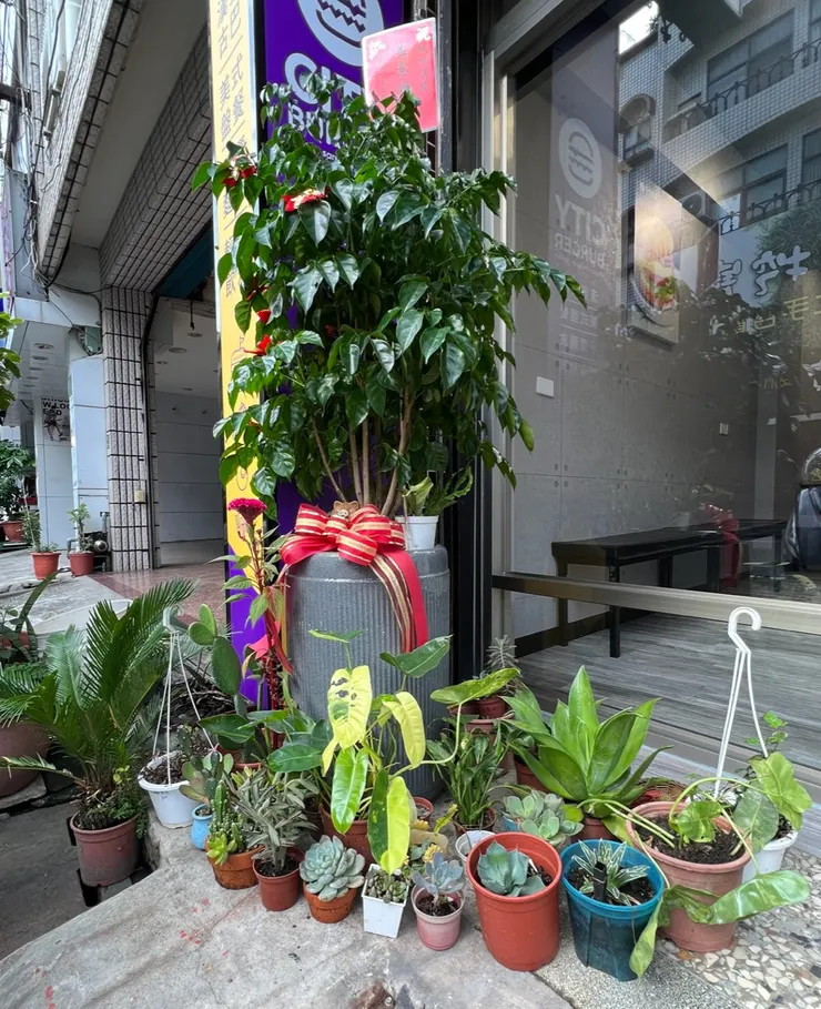 台南新營城市漢堡民權店的迎賓使者們,能不能找到我的小多肉呢?