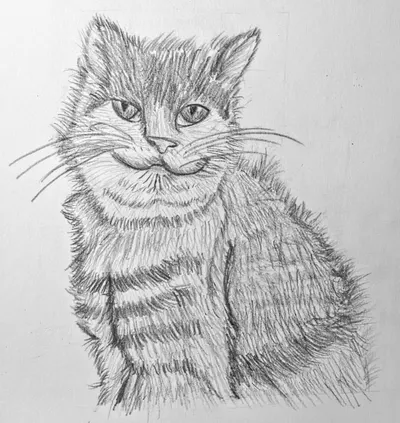 日本貓咪日(2026年2月22號) 貓咪紀念素描