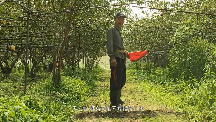 安和哥，取自《種土》臉書