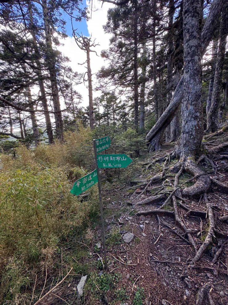 回到素密逹山屋後，阿鵝情況好轉立刻往雪山北峰前進
