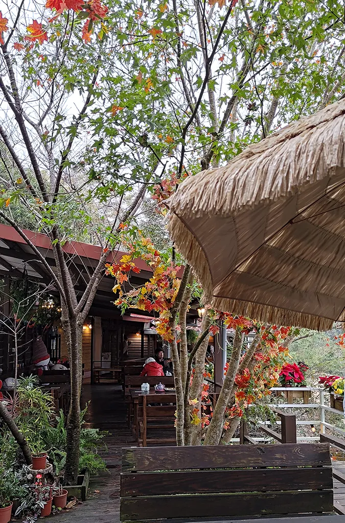 融入自然景色的景觀咖啡館