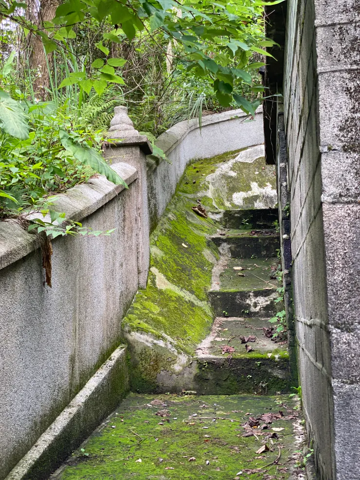 地面長滿青苔，有點滑，走上來請留意腳步