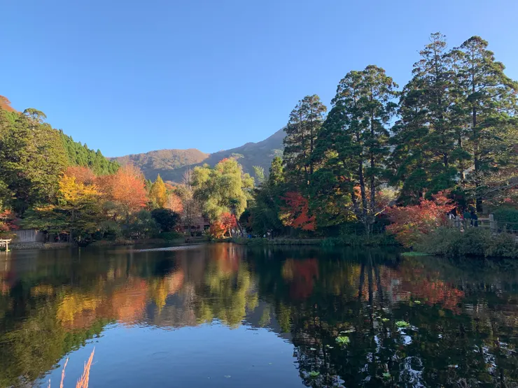 只是 金鱗湖真的很美 如詩如畫
