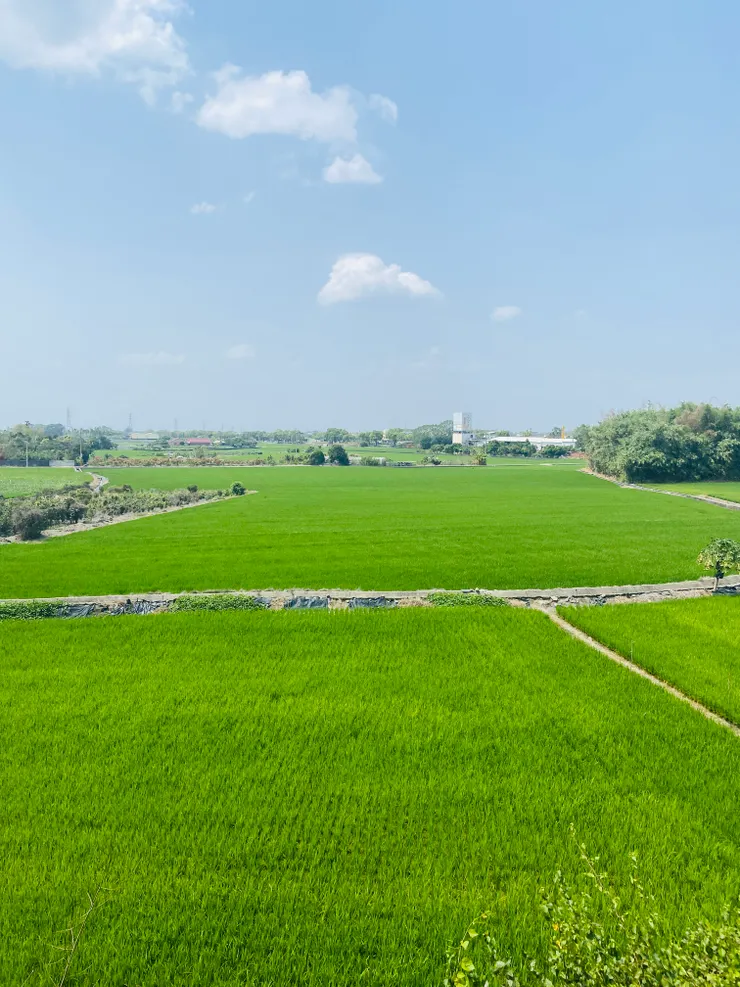 美好的景色讓人放鬆