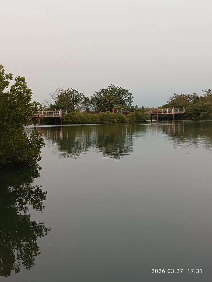 平岸小橋影搖漾