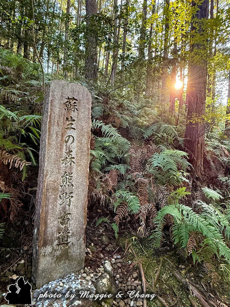 蘇生之森 蘇生之森是熊野古道的一部分，象徵著「復活」和「重生」，具有獨特的療癒力量。這片森林讓人感受到深刻的自然治療效果。