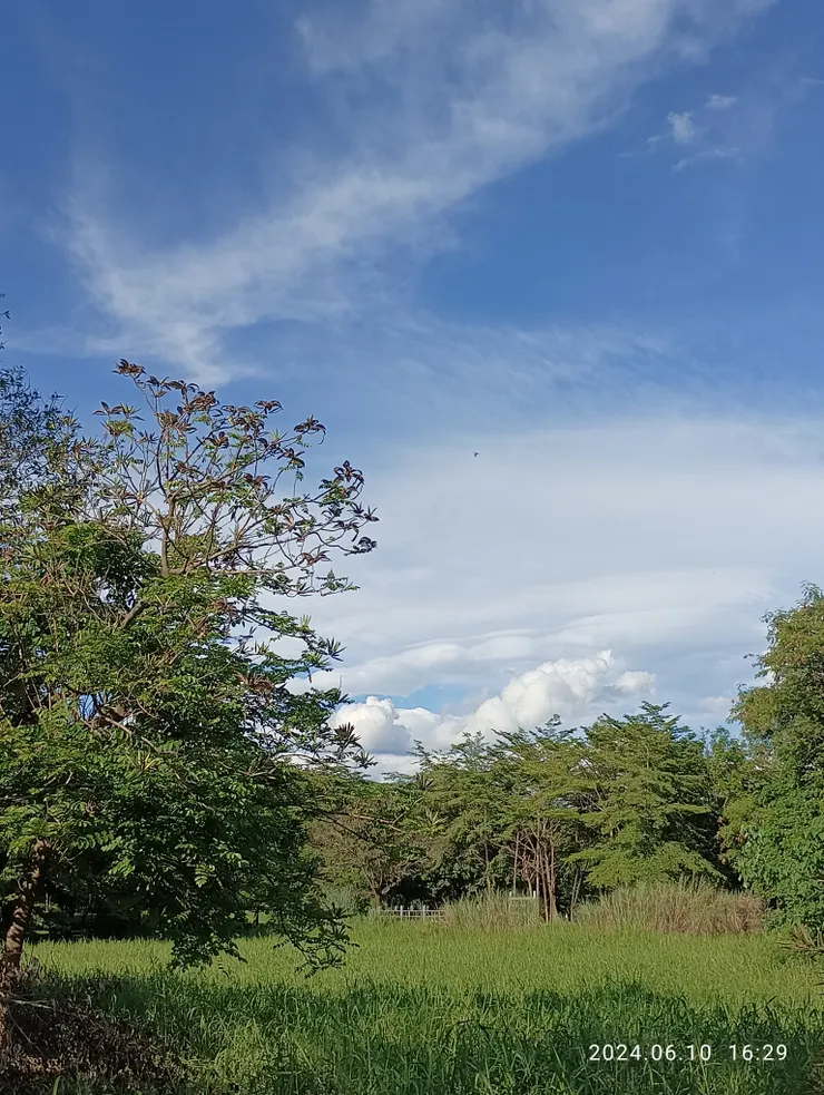 崁頂生態公園自拍攝
