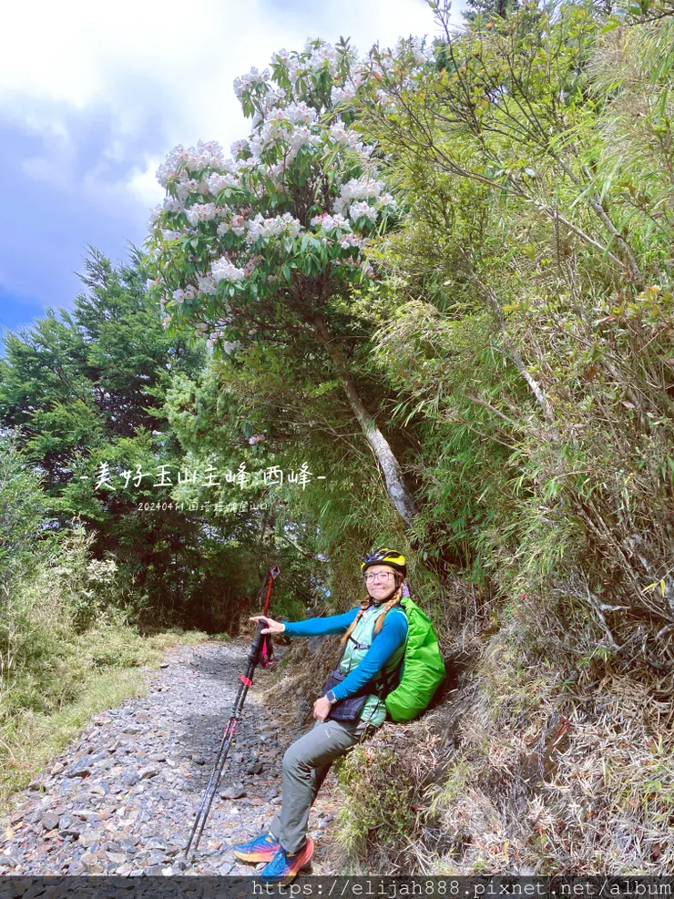 【玉山主峰西峰.兩天兩夜】冷到爆炸的玉山主峰賞雲海/一直走花