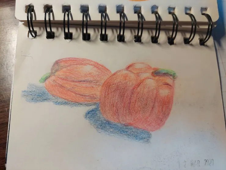 色鉛筆畫 紅椒