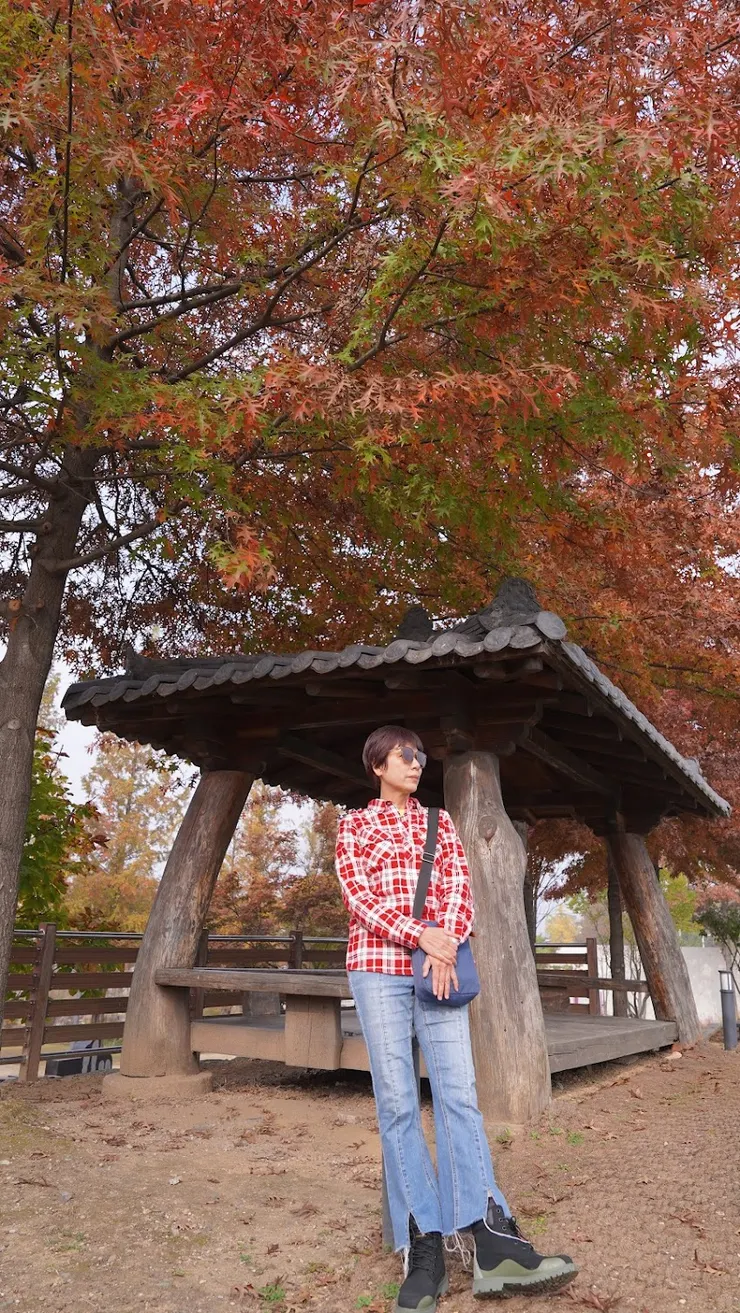 生態公園秋天景色