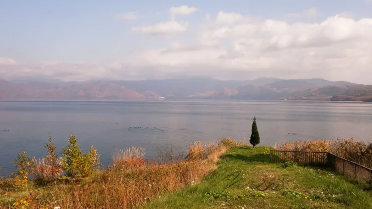 It's okay if you forget me.