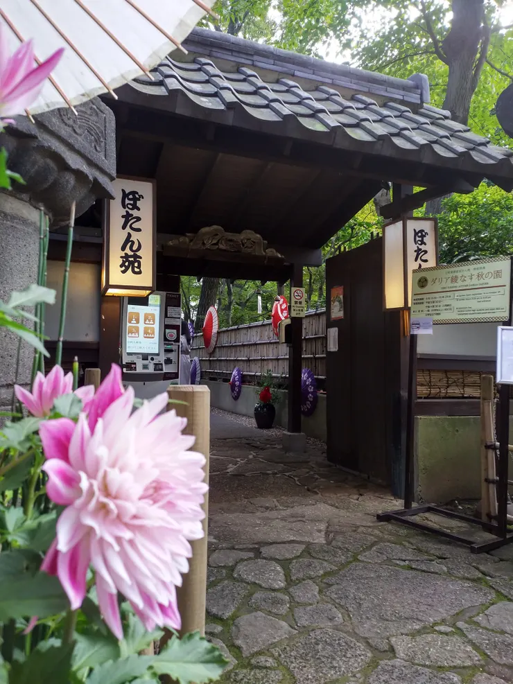 還是有拍到牡丹啦，意思意思一下