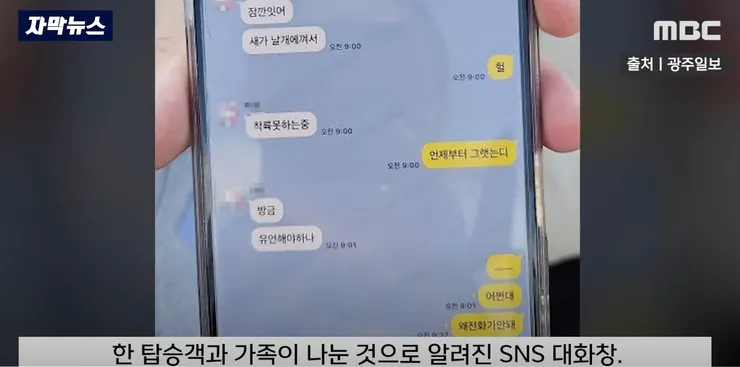 截圖來源：MBC News《[자막뉴스] "새가 날개 껴서 착륙 못해" 사고 직전 보내온 문자 (2024.12.29/MBC뉴스)》
