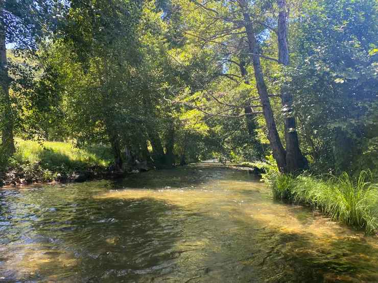 這裡水量豐沛，且水超冰涼。