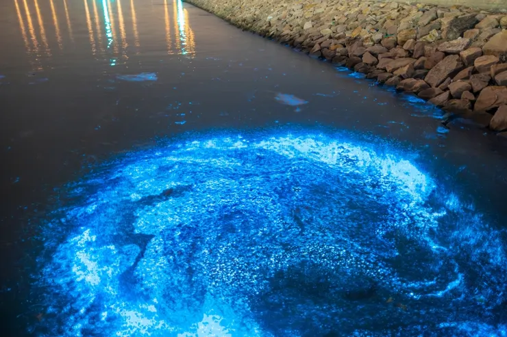 Source：Shutterstock