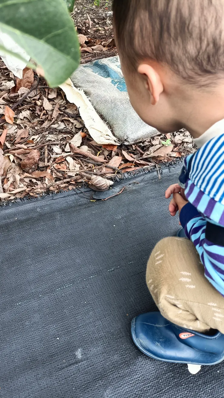 觀察蝸牛要去哪裡