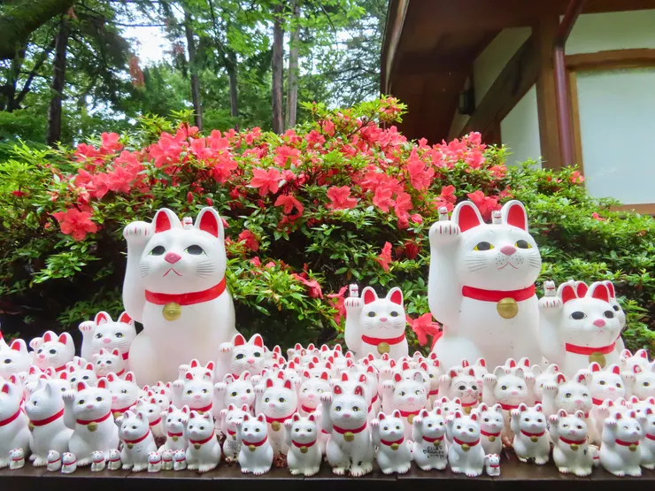 豪德寺的招福貓