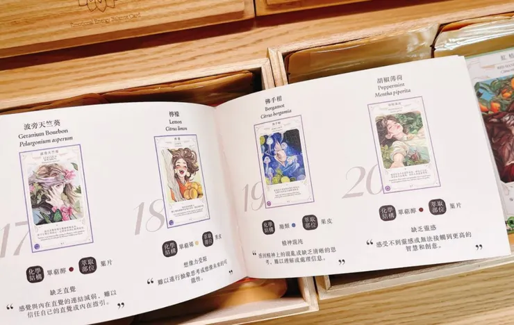 植緒平衡卡｜說明書