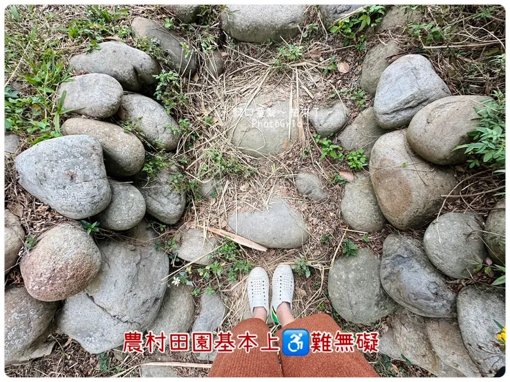 從入口處到田間焢窯必經的障礙。