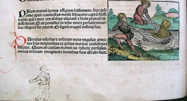 捕捉「獅子魚」－來自拉丁文副本的小插圖。上面還留有鋼筆和墨水寫的紅色大寫字母，以及下面空白處的塗鴉