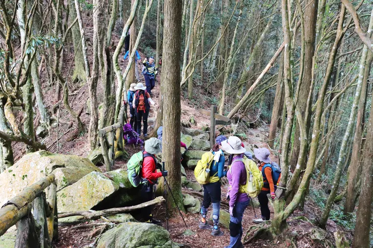 10:20折返稜線叉路口，稍適休息後，繼行前往鳶嘴山。