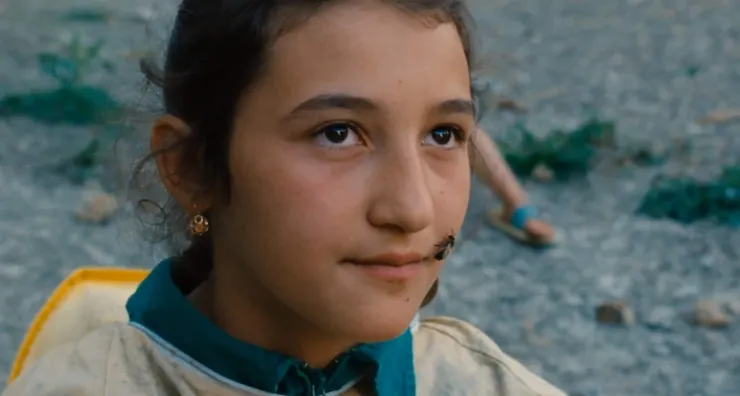 蜂蜜之夏 (The Wonders, 2014)