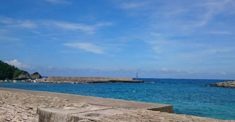 輕庭點水：提姆羊羊的聲音記事