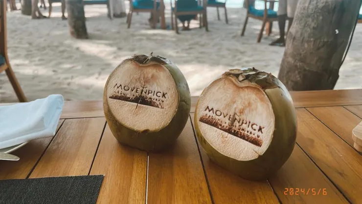 莫凡彼迎賓椰子