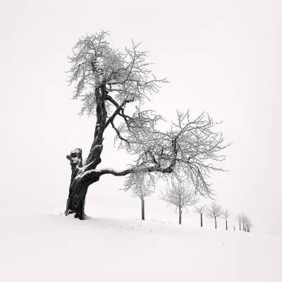 鋼骨佛心的沙龍