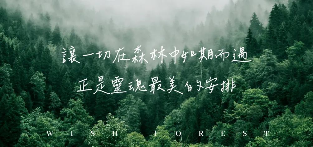 Wish Forest｜心願森林