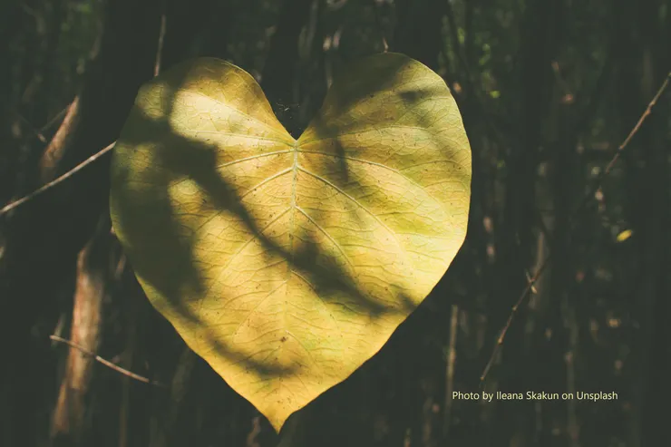 她，落入一片墨黑閃著冷光的雙眸中 (照片來源：Unsplash)