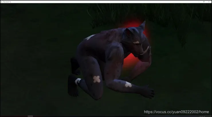 身上居然有一堆ＯＫ繃🤣🤣🤣