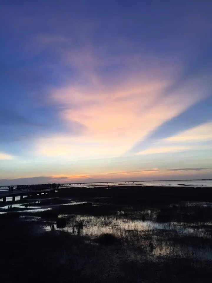 高美濕地夕陽