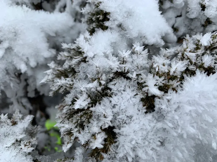 走過馬博橫斷中，巧遇冰雪秀姑巒山