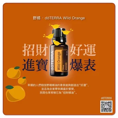 製作招財錢母，提升您的財運！