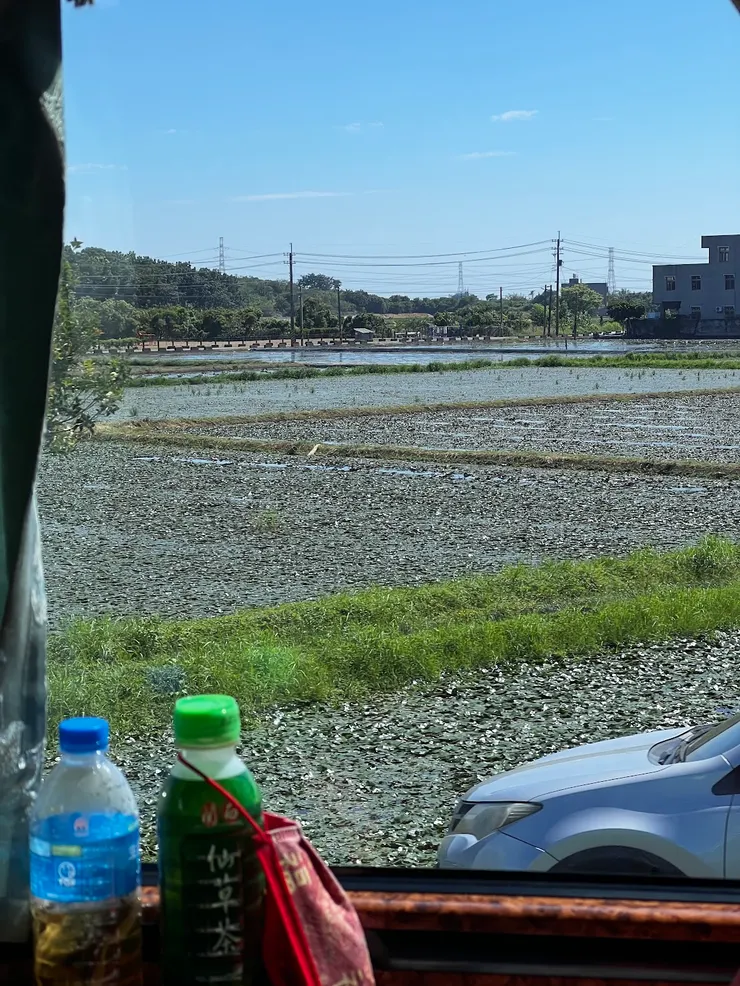 官田名產～菱角