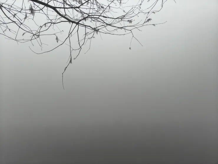 隱藏在優雅皮囊下的醜惡