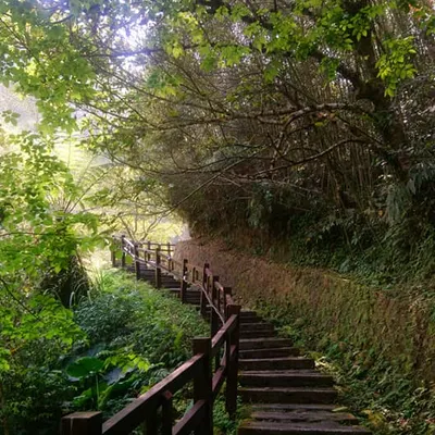 林風伴我行 的 默想角落