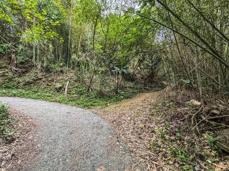 8:00抵逹雞籠山及九龍山叉路口