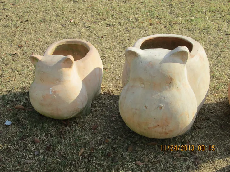 我不是我沒有你亂說!